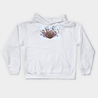 Allium  &#39;Spider&#39;  Ornamental onion Kids Hoodie